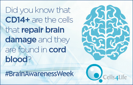 CD14+ cells to treat brain injury are found in cord blood CD14+ cells to treat brain injury are found in cord blood