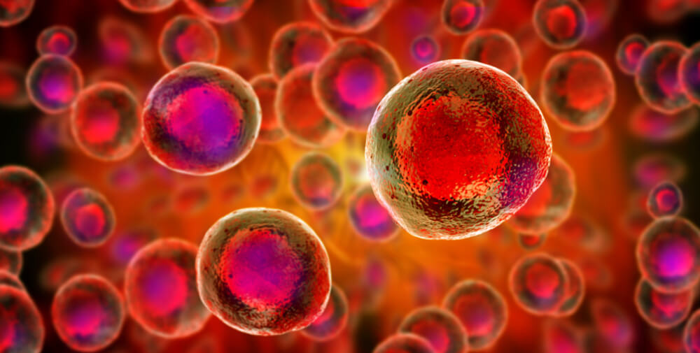 Making Cord Blood Go Further – Stem Cell Expansion