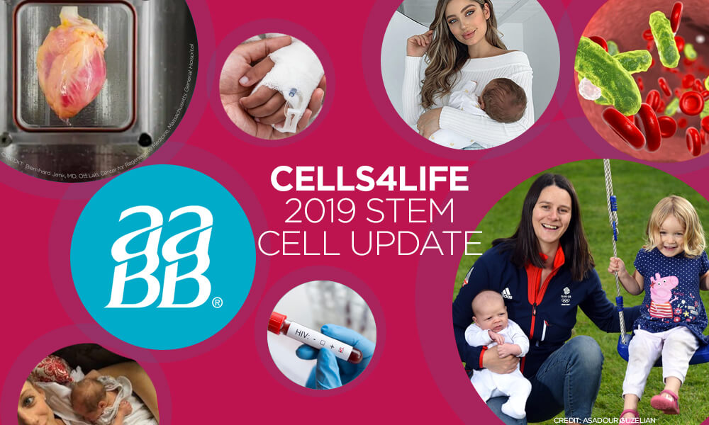 Latest Stem Cell News 2019