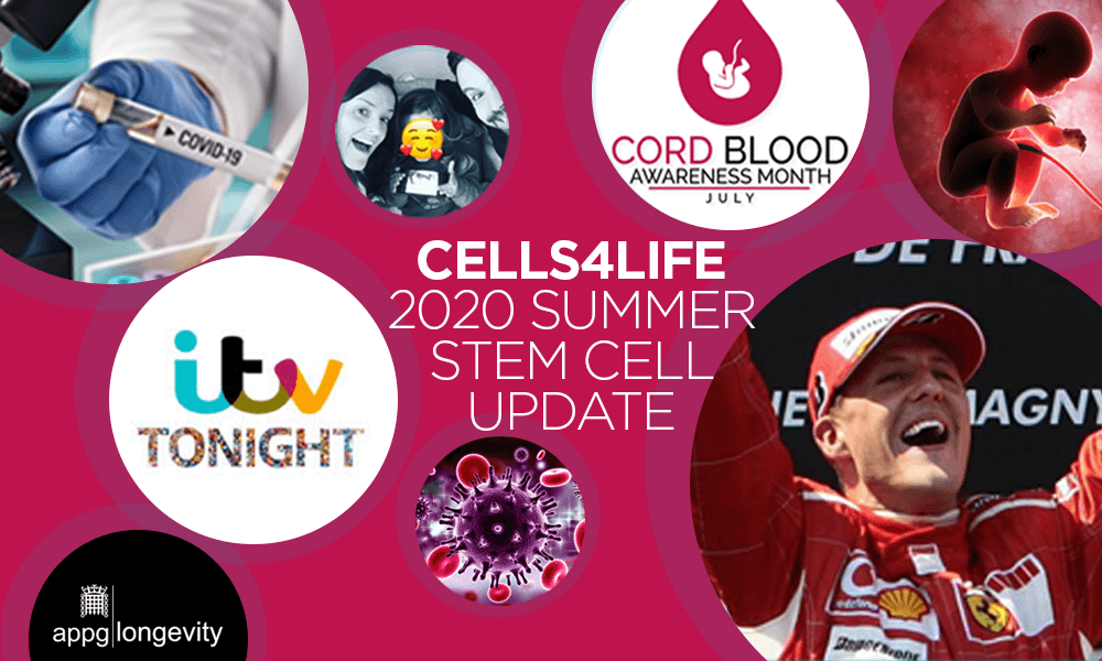 Summer 2020: the latest stem cell news