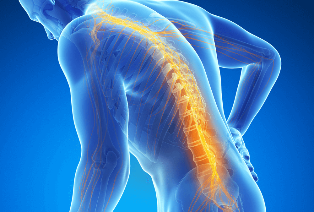 Can Stem Cells be used to treat Spinal Cord Injuries?