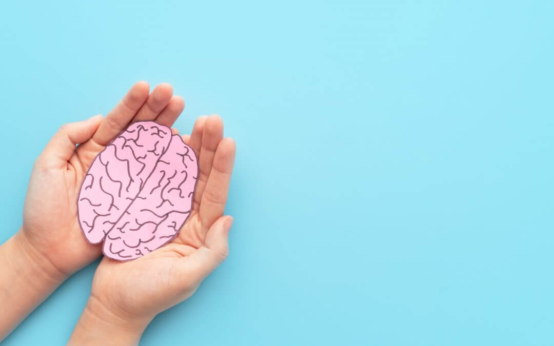 Image of human brain in human hands