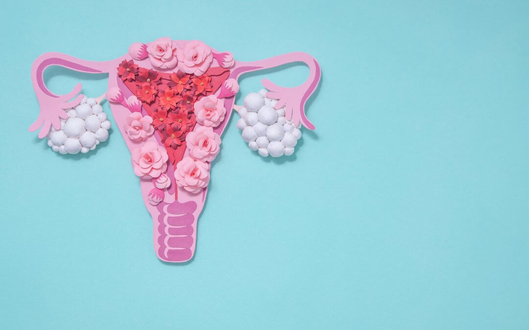 Could Umbilical Cord Stem Cells Help Ovarian Aging?