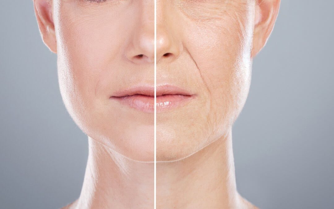 Stem Cells May Be Pivotal in Combatting Aging, Research Shows