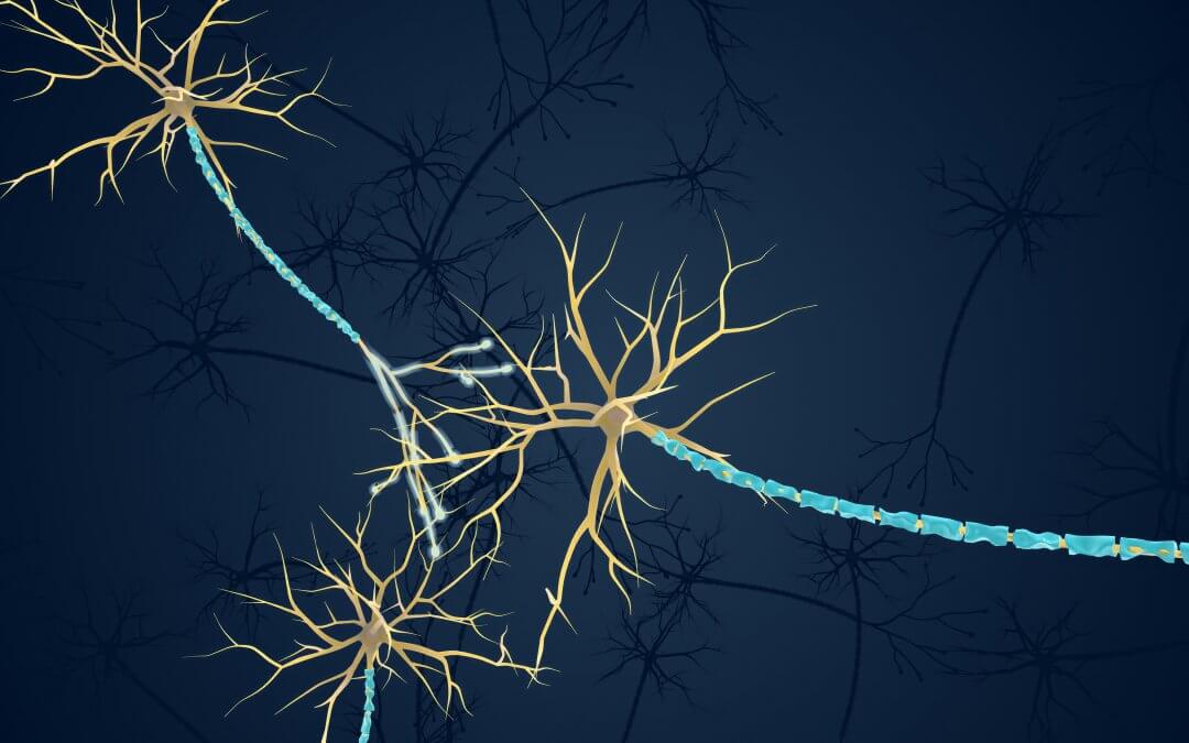 Umbilical Cord Stem Cell Therapy for Charcot-Marie-Tooth Disease to Begin Phase 2 Trial