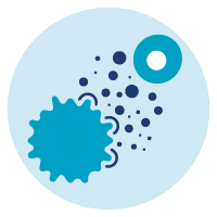 Placenta icon