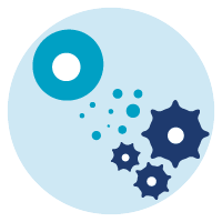 Amnion icon