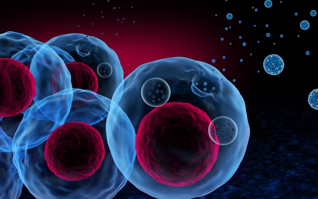 A 3d illustration of stem cells and exosomes.